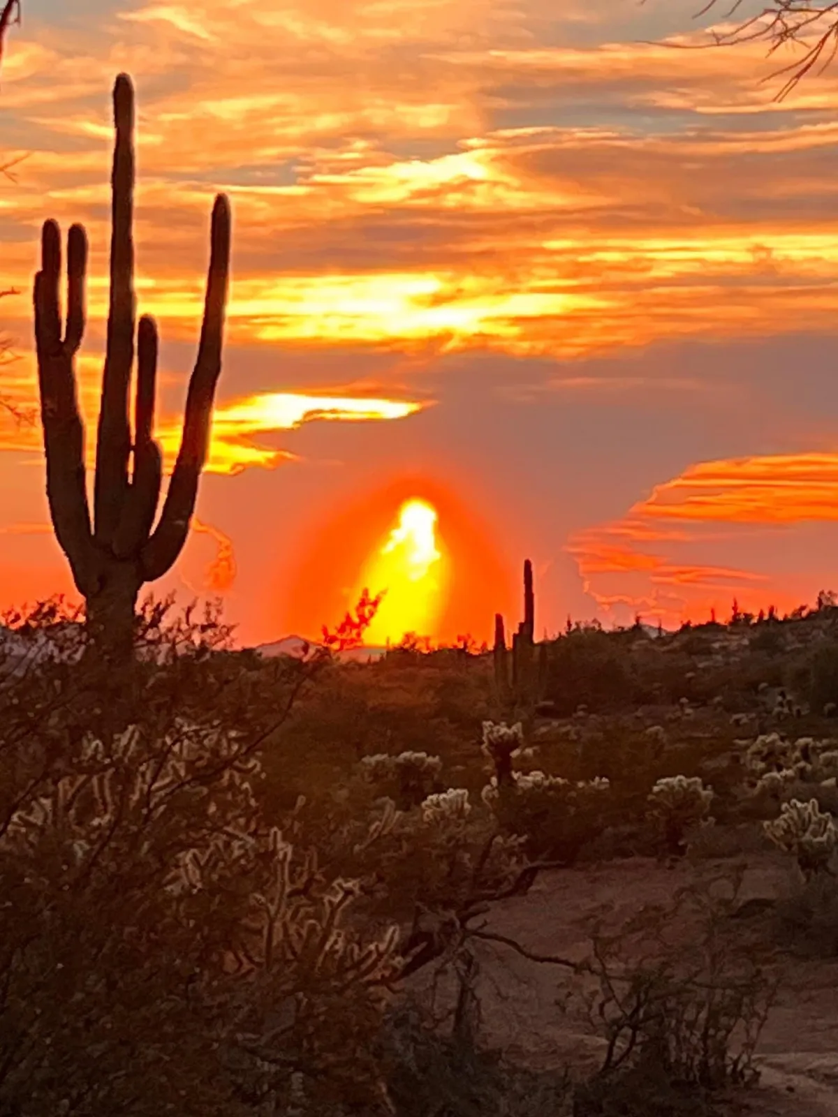 A stunning desert landscape at sunset, with iconic cacti silhouetted against glowing clouds and a colorful sky. The environment feels peaceful and invites viewers to imagine nature walks, photography, or stargazing in the Arizona desert.